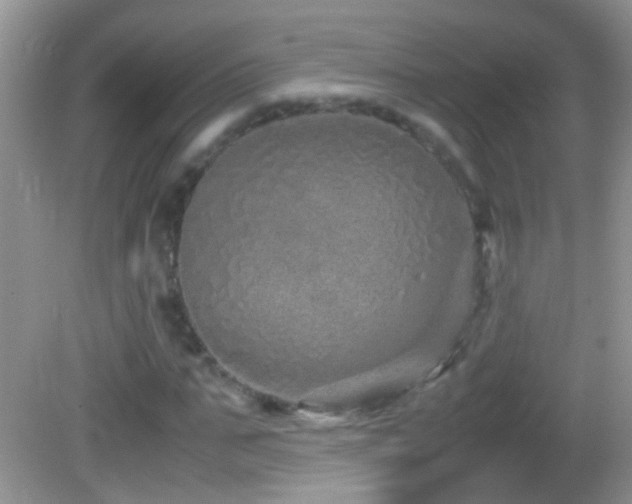 X0000082740871200701261439