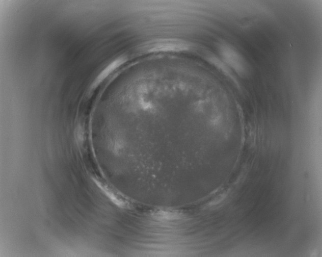 X0000082740874200701261439