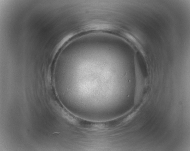 X0000082740883200701261438