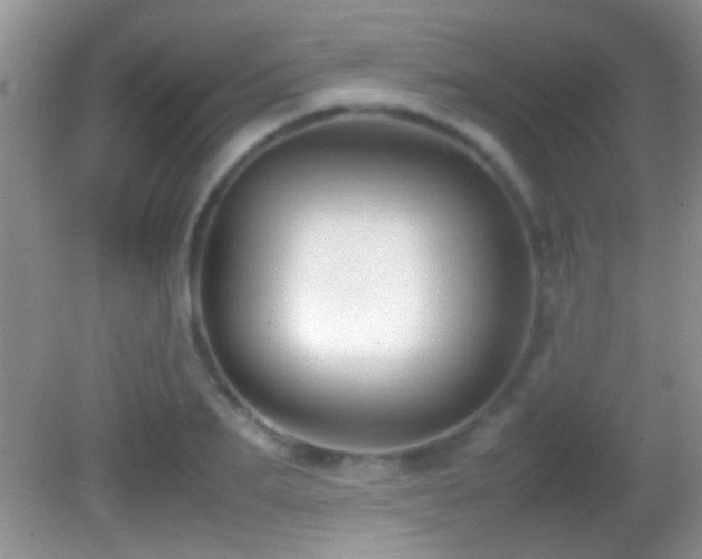 X0000082740887200701261438