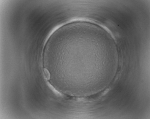 X0000082740903200701261438