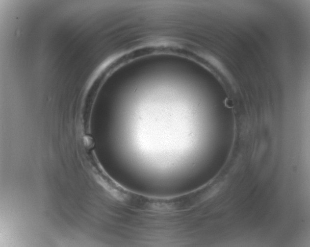 X0000082740927200701261437