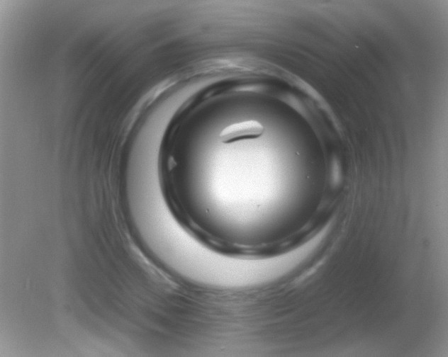 X0000082740930200701261437