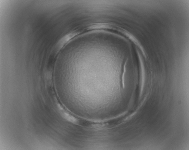 X0000082740937200701261438