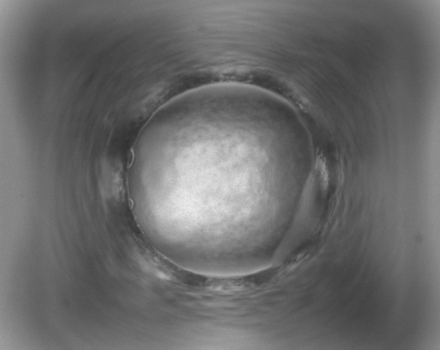X0000082740963200701261437