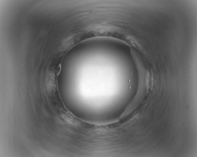 X0000082740964200701261437