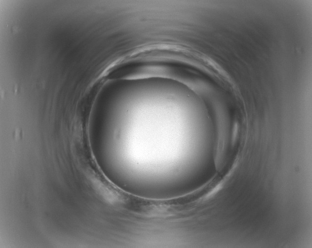 X0000082740969200701261437