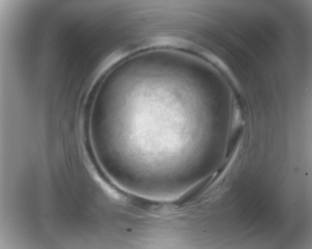 X0000082740991200701261437
