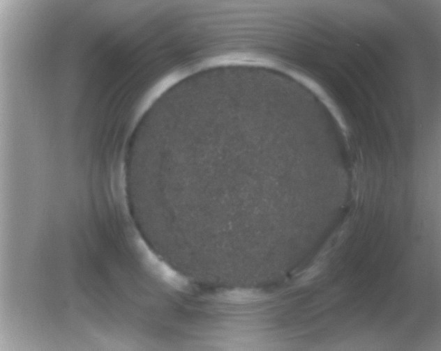 X0000082740998200701261436