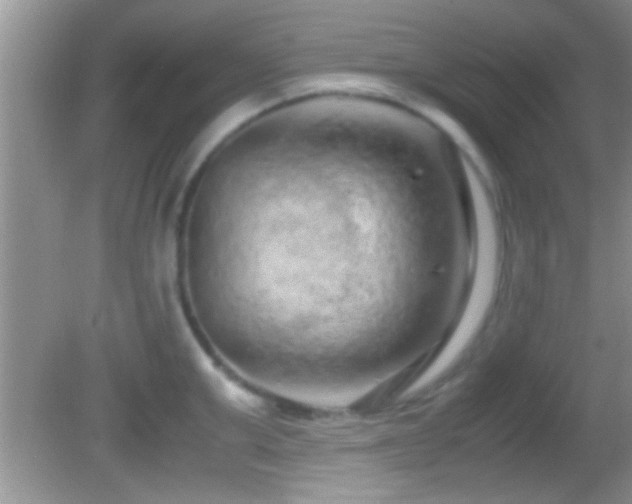 X0000082740999200701261436