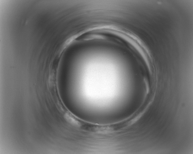 X0000082741001200701261436