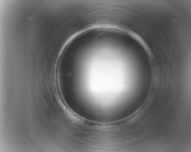 X0000082741004200701261436