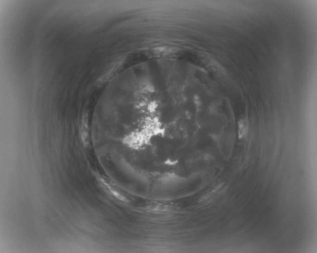 X0000082741011200701261436