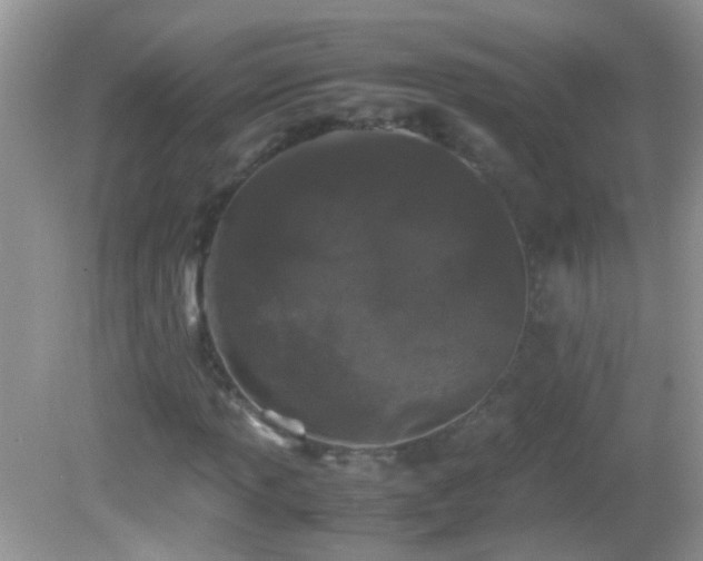 X0000082741013200701261436