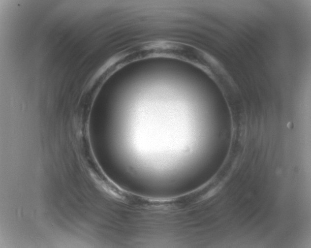 X0000082741017200701261436