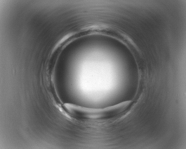 X0000082741018200701261436