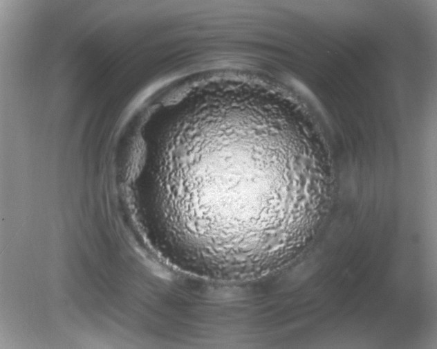 X0000082741019200701261436