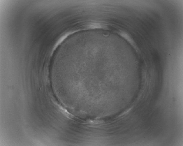 X0000082741023200701261436