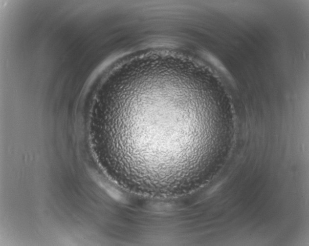 X0000082741027200701261436