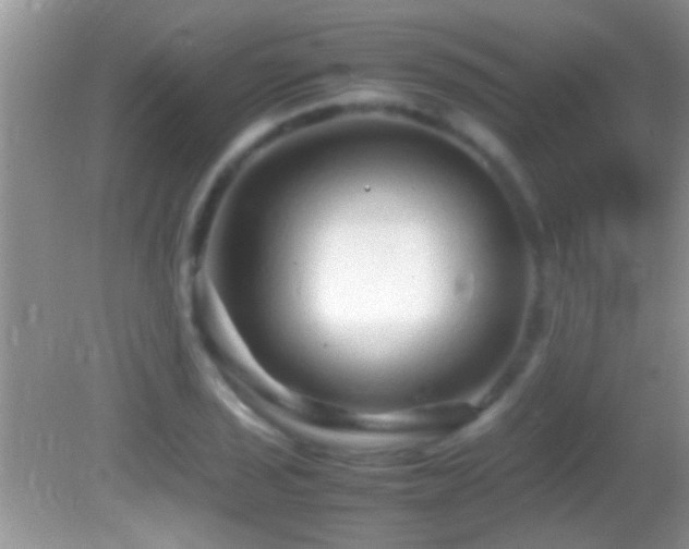 X0000082741029200701261436