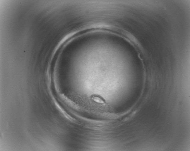 X0000082741032200701261436