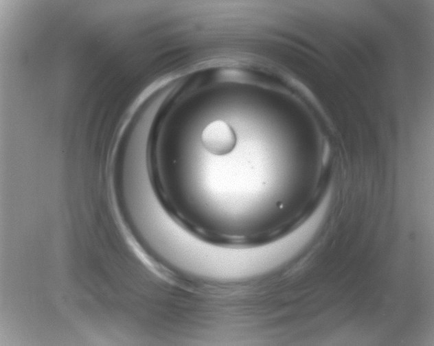 X0000082741034200701261436