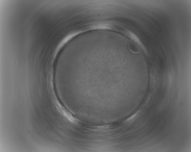 X0000082741035200701261436