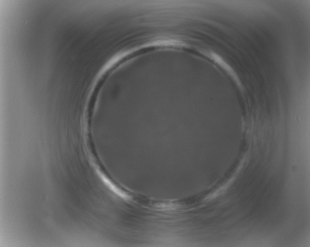 X0000082741037200701261436