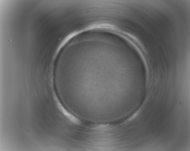 X0000082741038200701261436