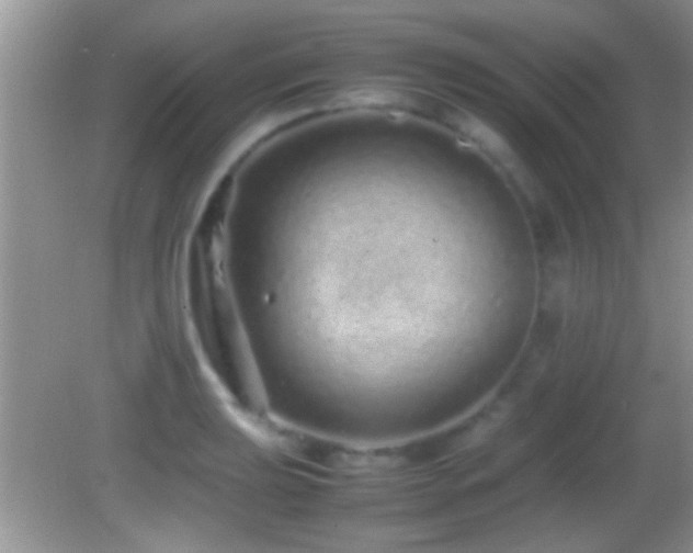 X0000082741039200701261436