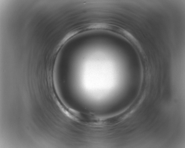 X0000082741041200701261436