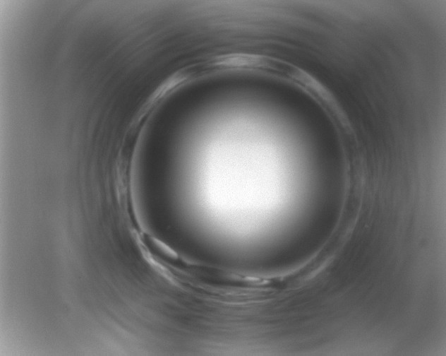 X0000082741049200701261436