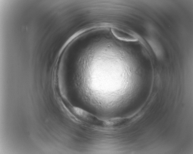 X0000082741052200701261436