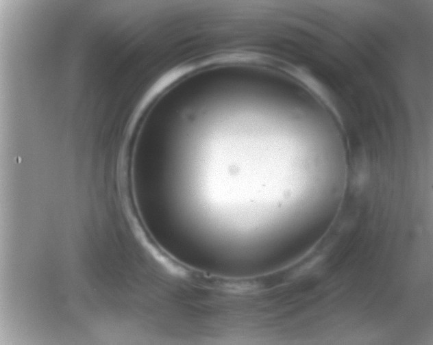 X0000082741053200701261436