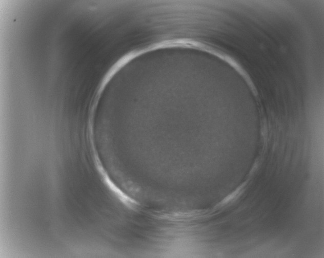 X0000082741054200701261436