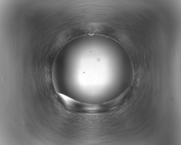 X0000082741058200701261435