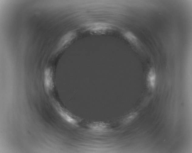 X0000082741060200701261435