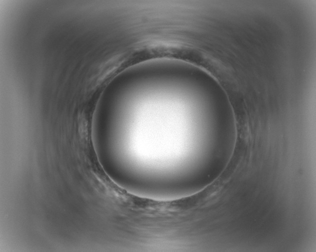 X0000082741061200701261435