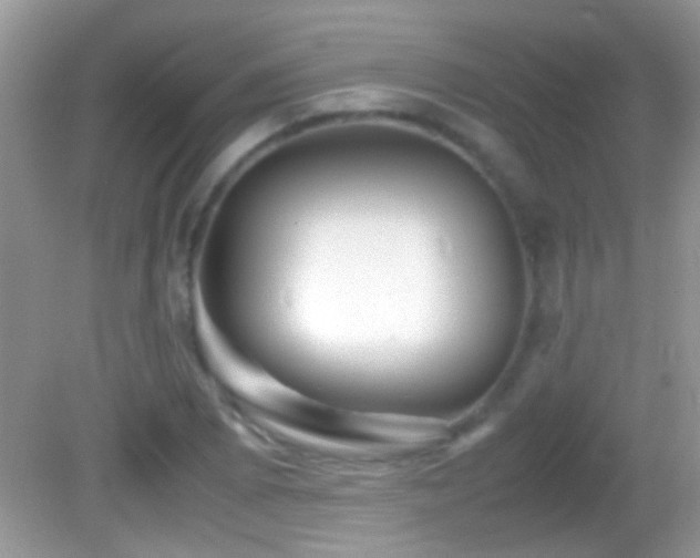 X0000082741073200701261435