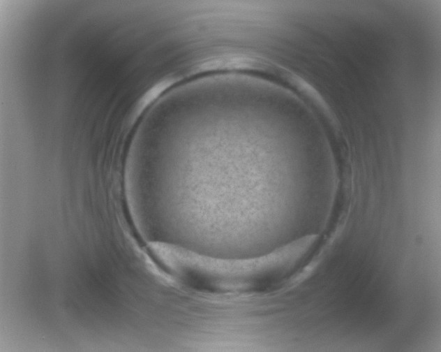 X0000082741081200701261435