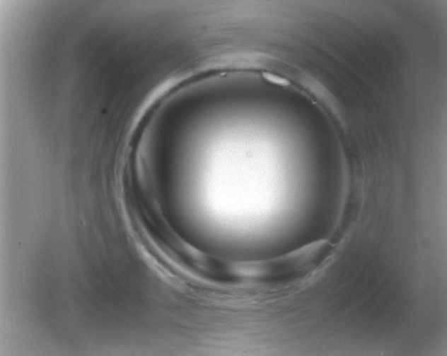 X0000082741085200701261435