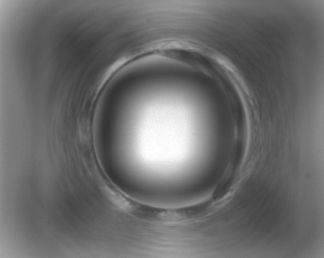X0000082741089200701261435