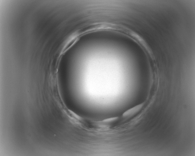 X0000082741097200701261435