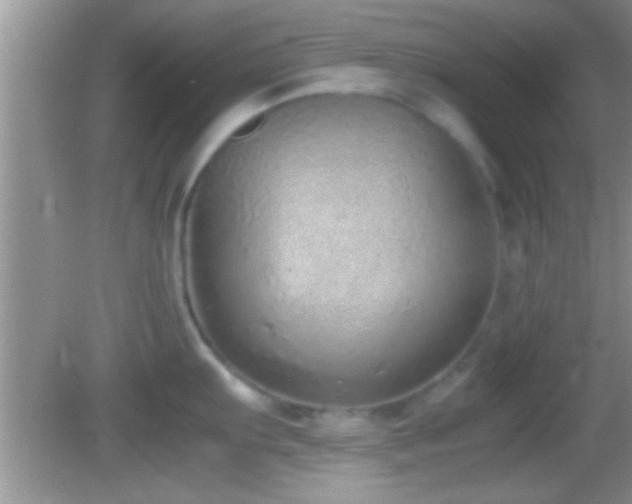 X0000082741103200701261435