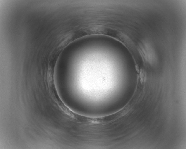 X0000082741107200701261434