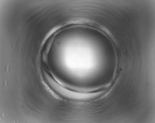 X0000082741122200701261434