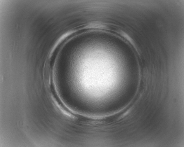 X0000082741123200701261434