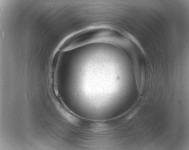 X0000082741124200701261434