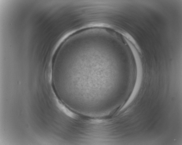 X0000082741132200701261434