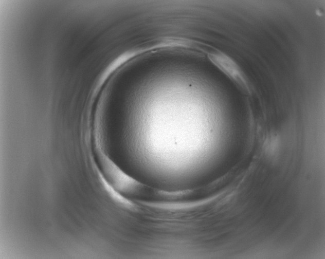 X0000082741143200701261435